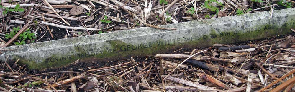 white-grave1